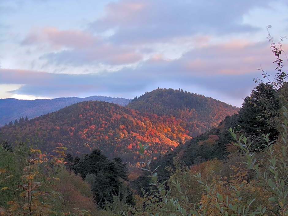 Hotel-Spa & Restaurant Logis Domaine Langmatt
