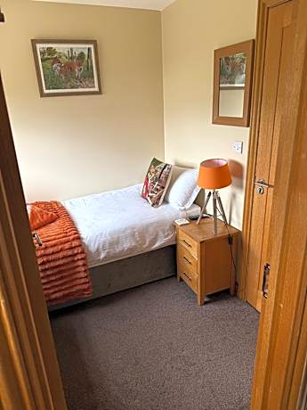 Large Single Room