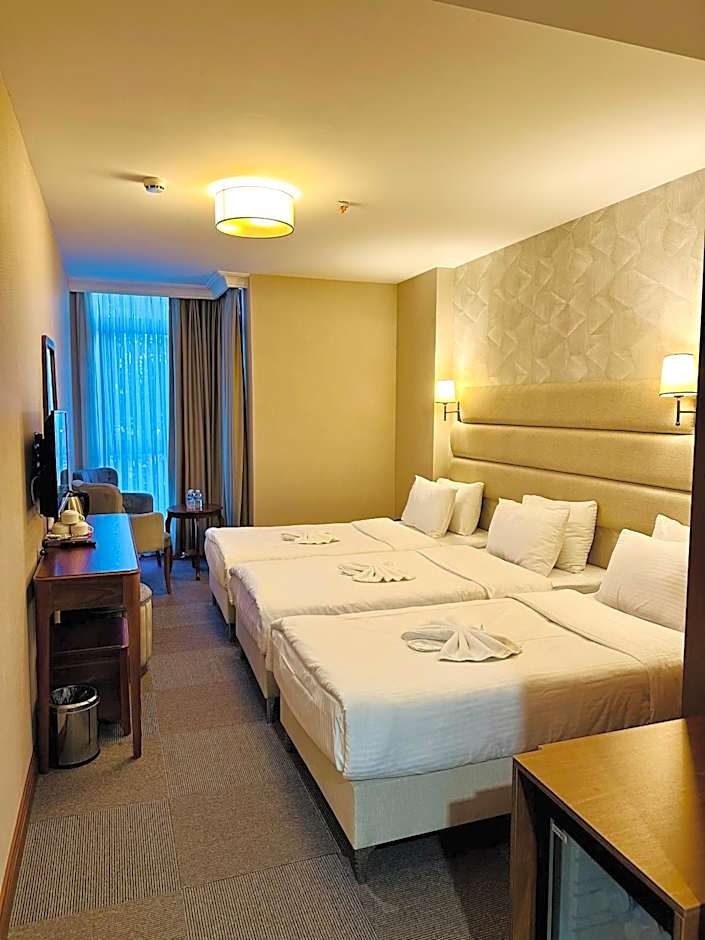 Istanbul Midpoint Hotel
