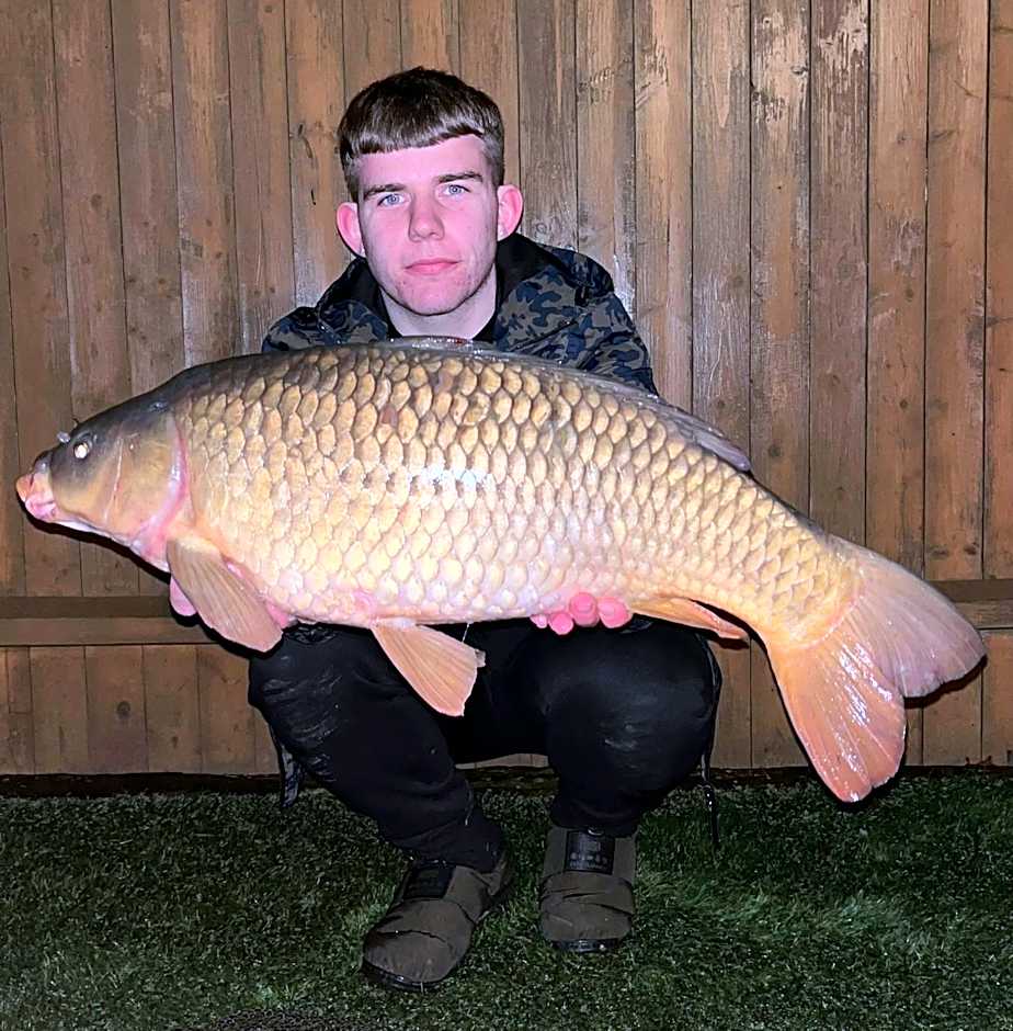 Balmoral Studio Lodge