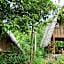 Lazy Lizard Hostel