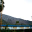 Delos Reyes Palm Springs