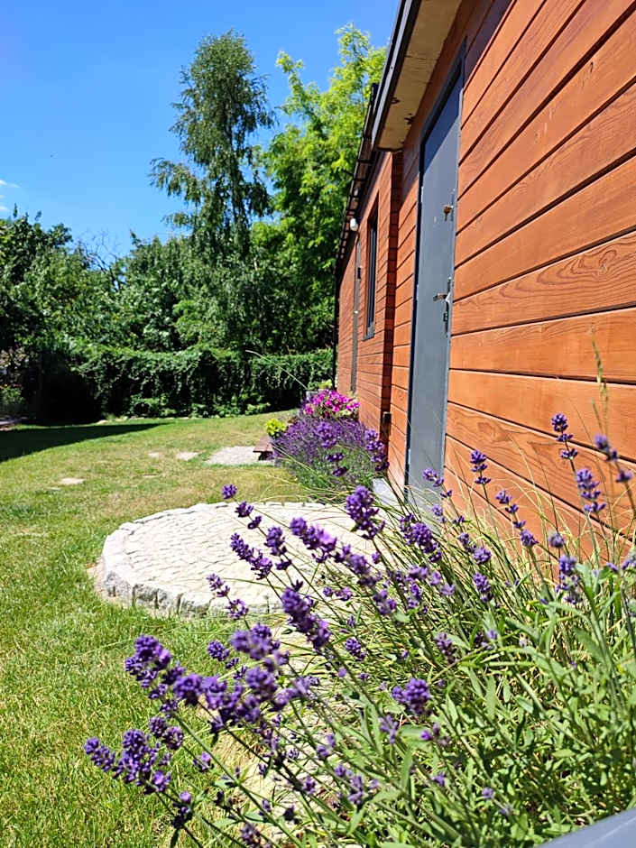 Lawendowo- sauna, jacuzzi, domki w ogrodzie i apartamenty w kamienicy