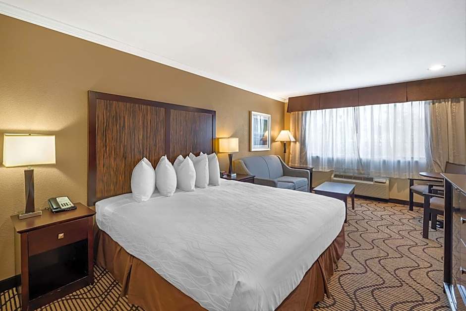 Best Western Plus Orchid Hotel & Suites