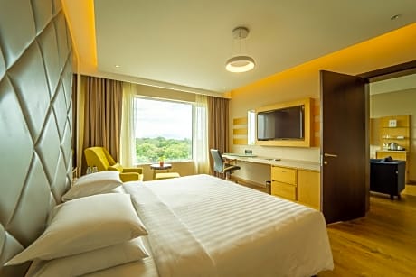 1 Bedroom Suite, 1 King