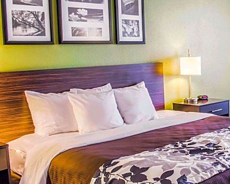 1 King Bed, Nonsmoking