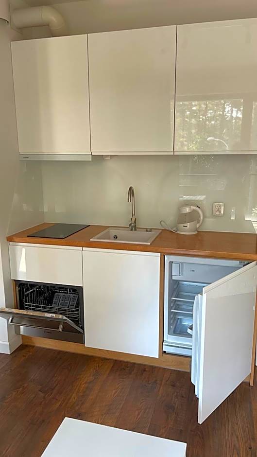 Apartament nad jeziorem , ZEFIR