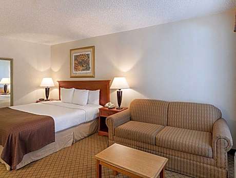 Standard King Room