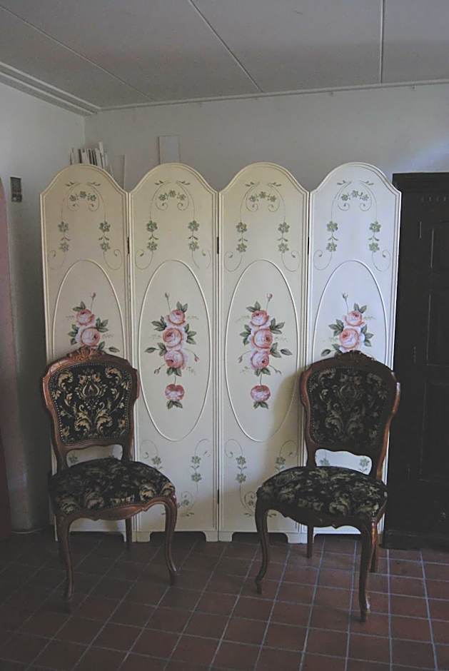 De Zevenster centrum