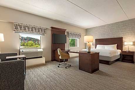 King Studio Suite - Non-Smoking