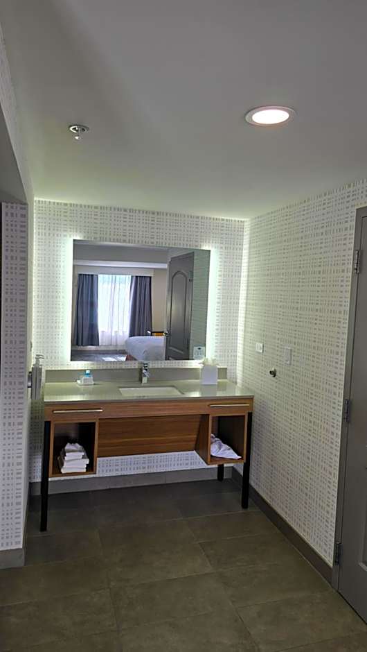 Hampton Inn By Hilton & Suites Chicago Deer Park