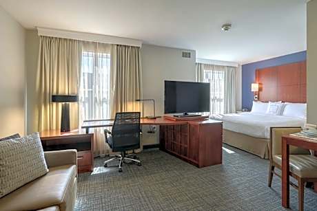 Studio, 1 King Bed with Sofa bed (1 King Bed and 1 Double Sofa Bed)