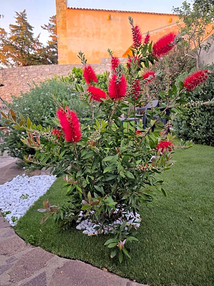 B&B Villa Martina