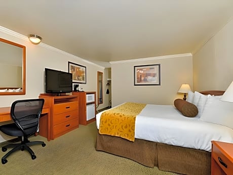 Suite with 1 Queen bed