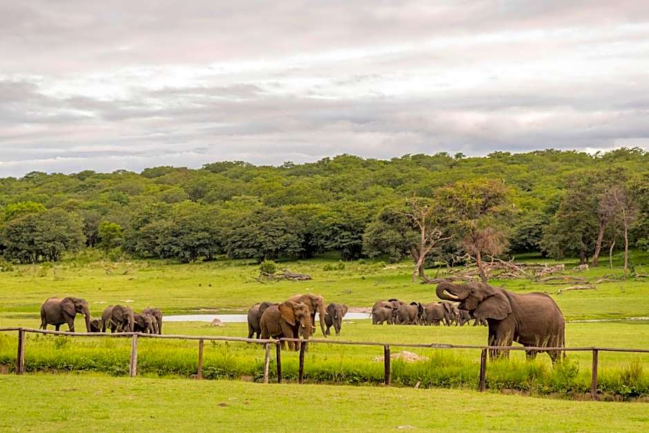 Hwange Safari Lodge