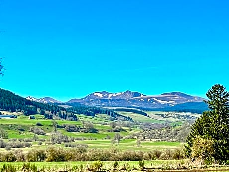 Suite with Mountain View