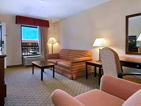 1 King Bed, 1 Sofa-Bed Suite, Non-Smoking