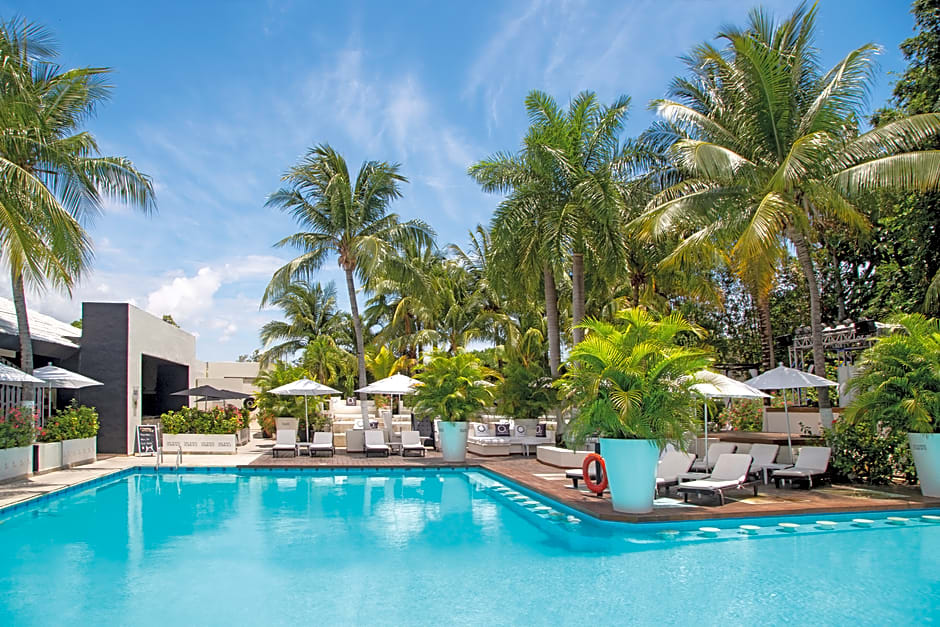 Oh! The Urban Oasis - Adults only