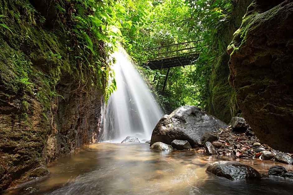 Chachagua Rainforest Hotel & Hot Springs