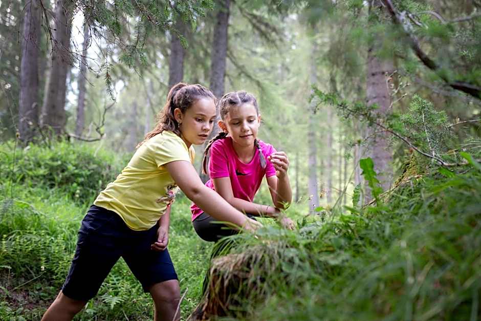 Naturae Lodge Wellness & Spa