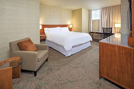 Executive Suite, 1 King, City view