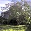 Pa Road B&B Kerikeri NZ