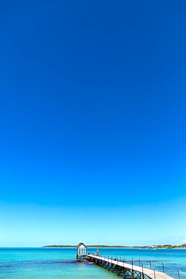 Tropical Attitude - Adults Only