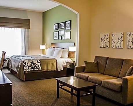 King Suite - Accessible/Non-Smoking