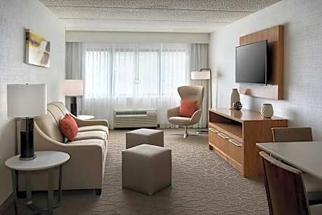 1 Bedroom Suite, 1 King, Sofa bed