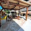Atenea Holbox