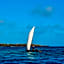 Pemba Eco Lodge