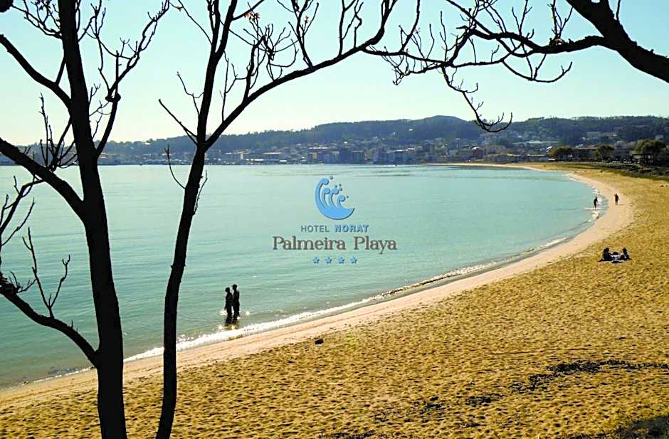 Hotel Norat Palmeira Playa