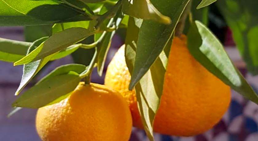 Casa Rural los Danzantes