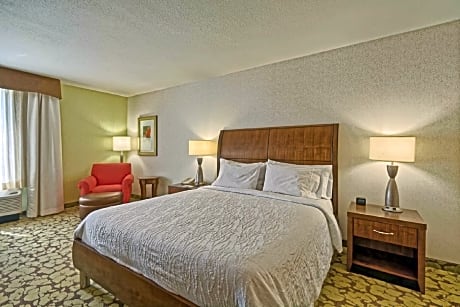 1 King Accessible Room