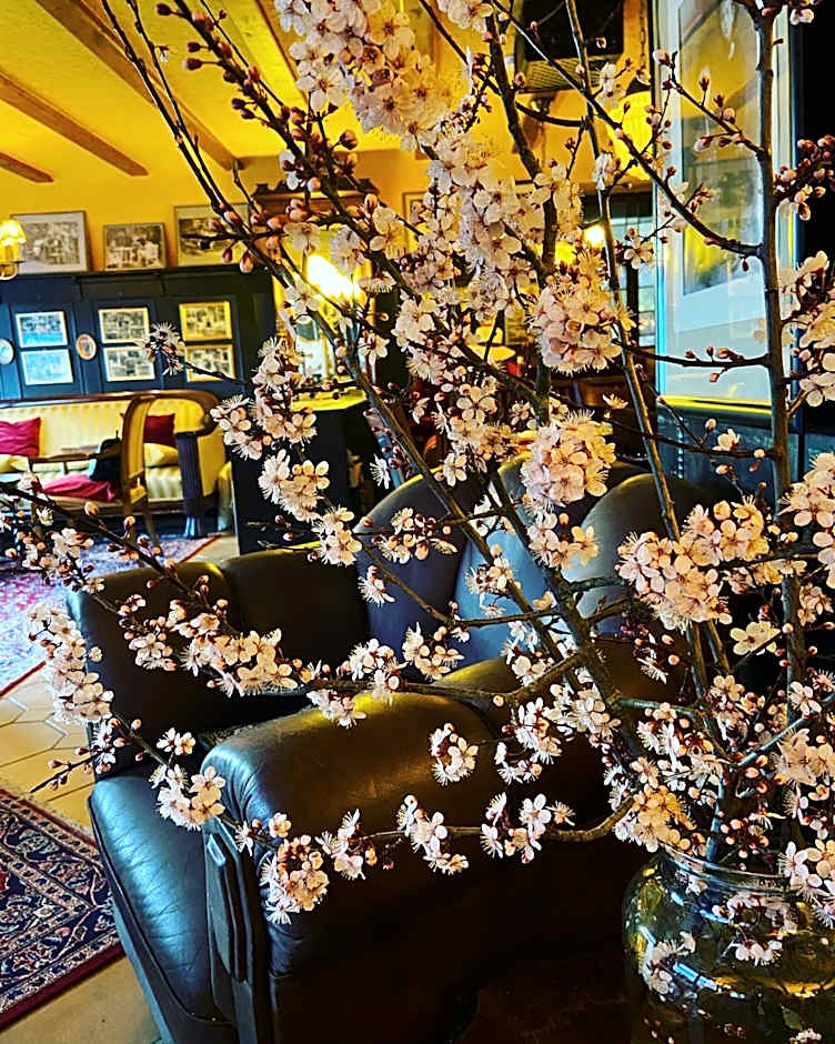 Hotel Anker