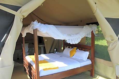 Large Single Room