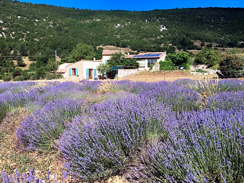 Le Jas du Mont Ventoux