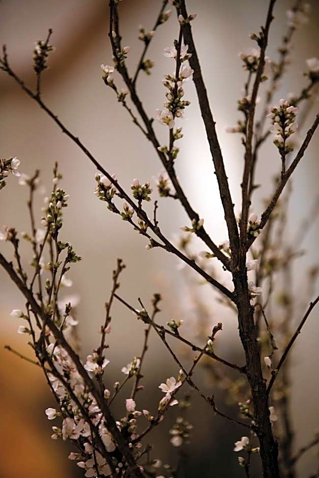 Renaissance by Marriott Boulder Flatiron Hotel