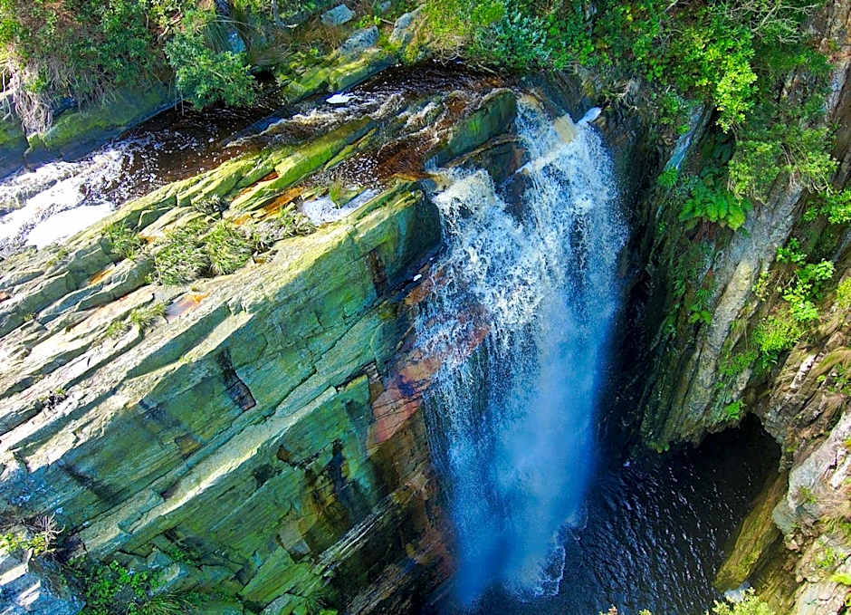 The Fernery Lodge & Spa