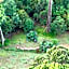 Dantica Cloud Forest Lodge