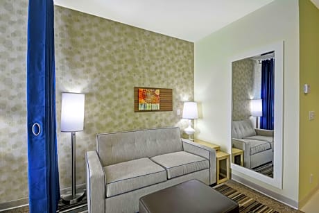 1 King Bed 1 Bedroom Suite Nonsmoking