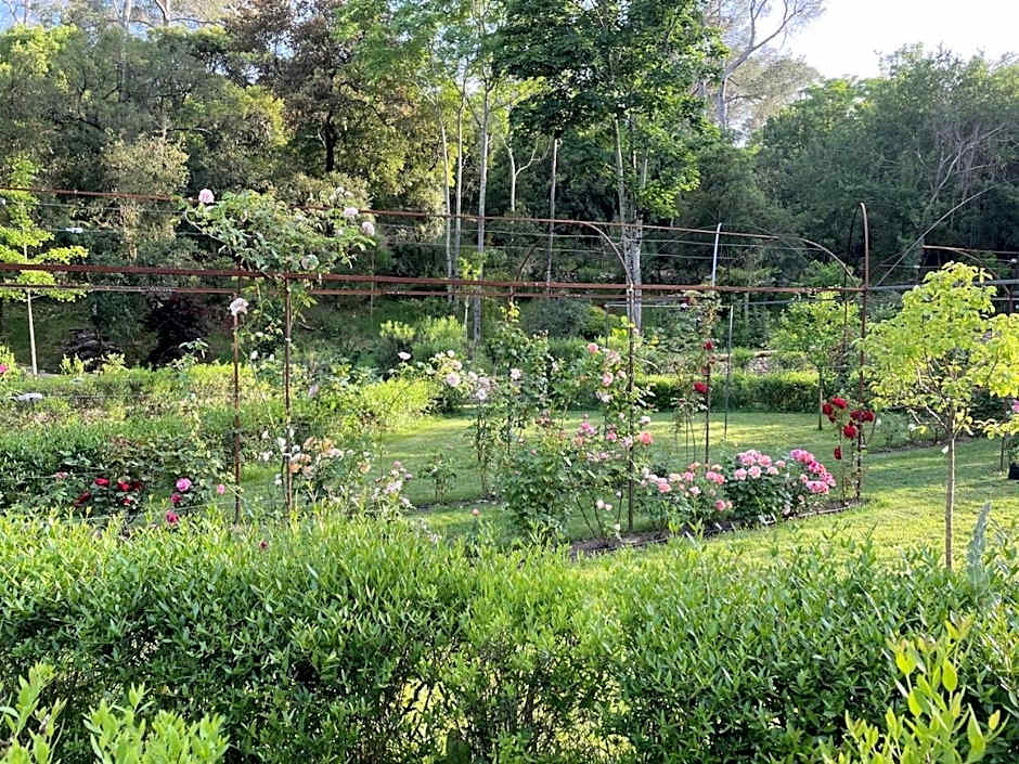 Château de Collias - Maison de Vacances