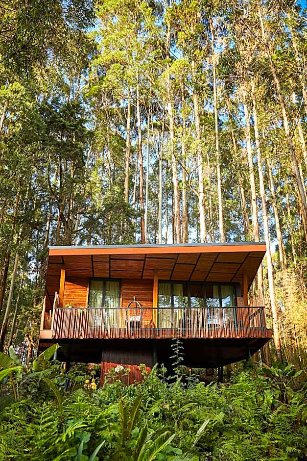 One&Only Gorilla's Nest