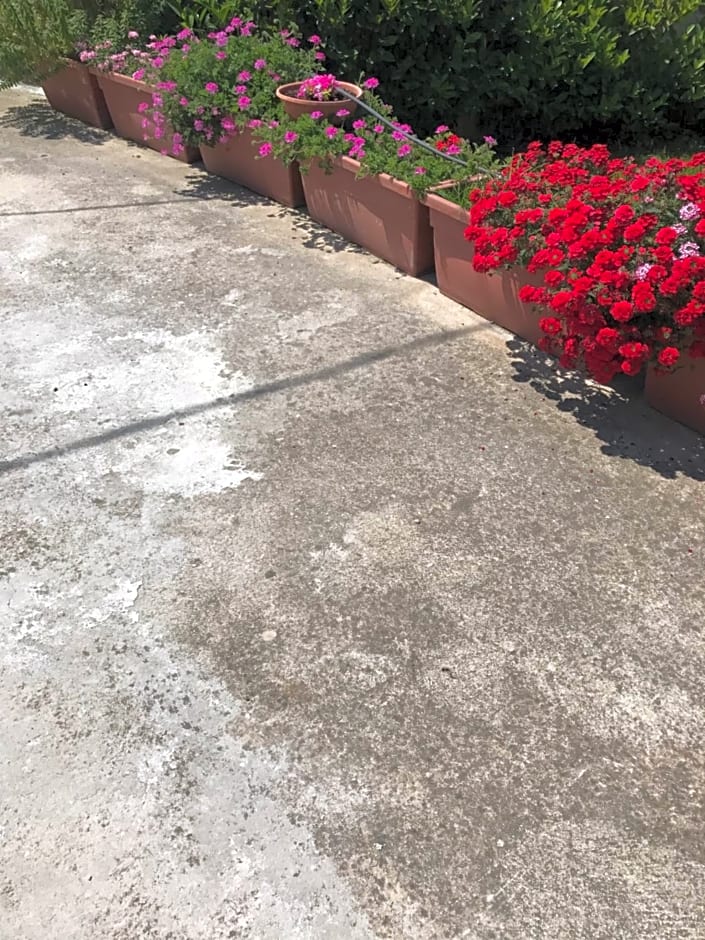 B&B Adema – Agropoli, UT