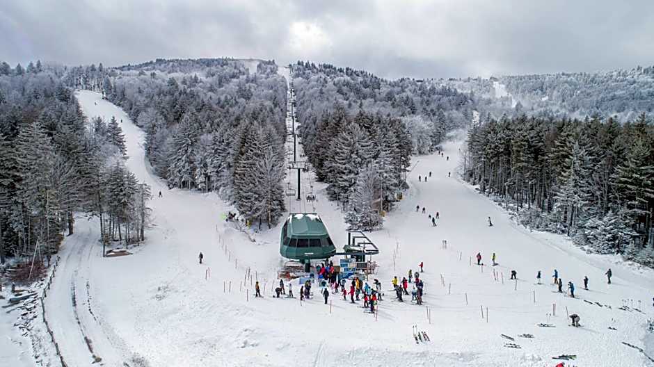 Stroll to Slopes, Village Area, Ski in-out MtLodge 343