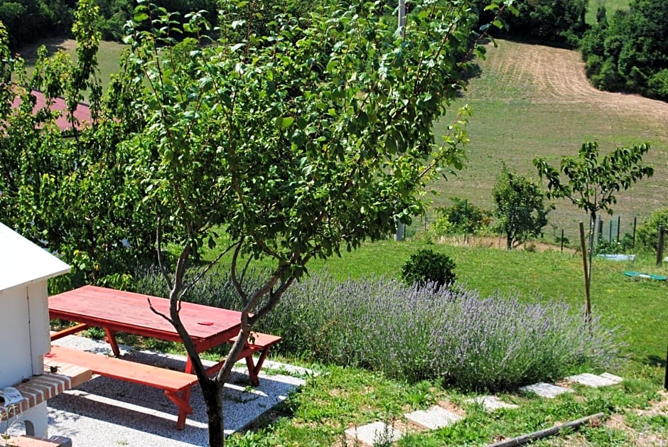 Agriturismo B&B La Cerasa