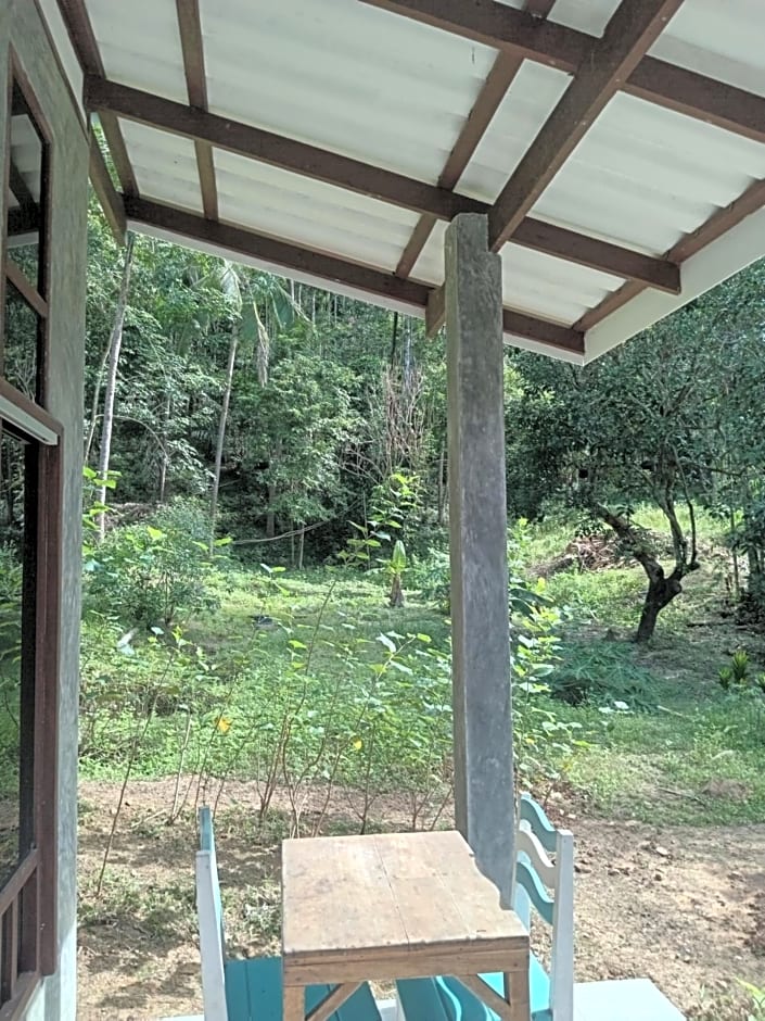 Chom Suan Farmstay