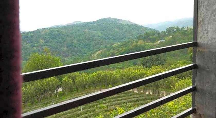 101 Tea Green View