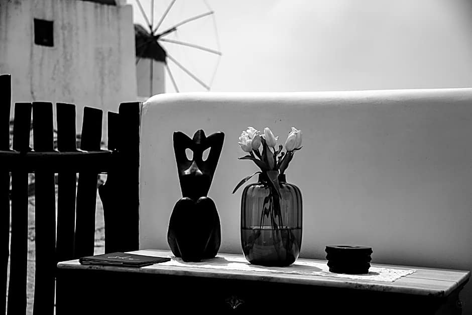 She Mykonos - The Residency