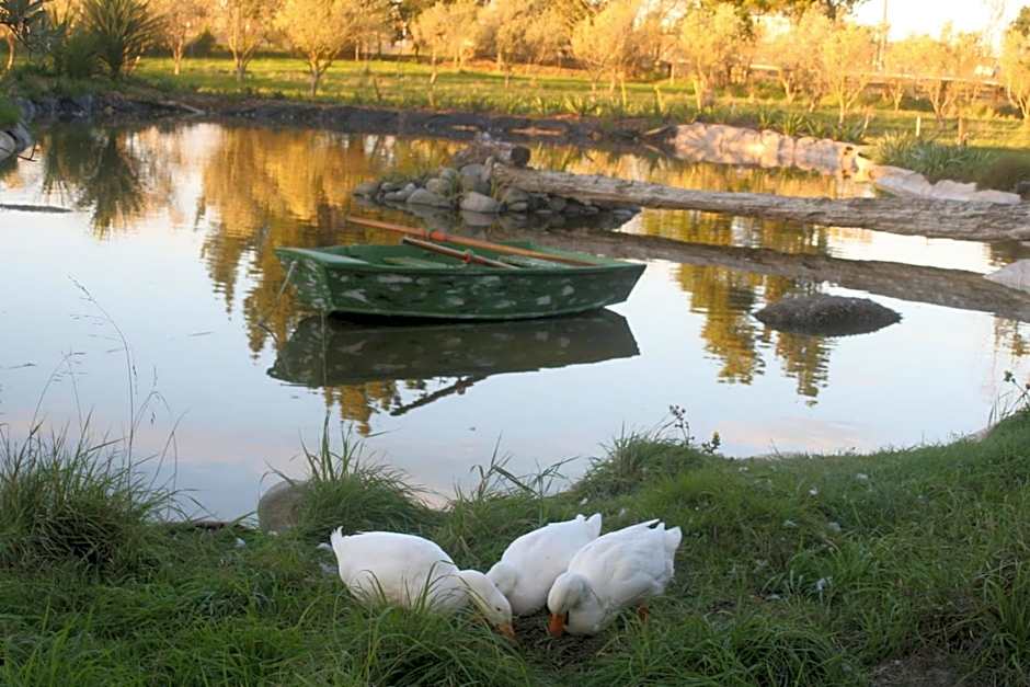 The Peppertree Luxury Accommodation